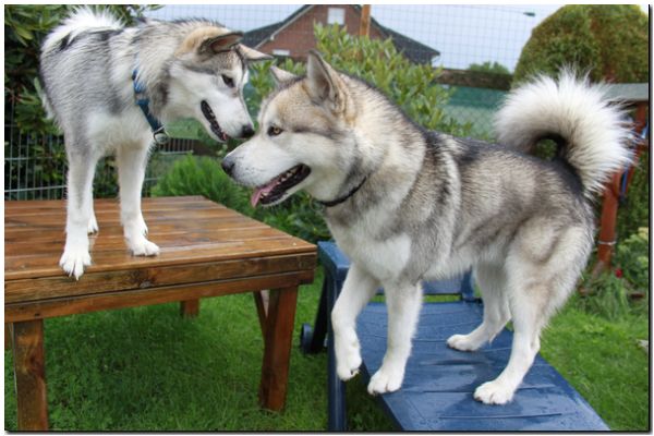 Besuch Nanooq 032.jpg